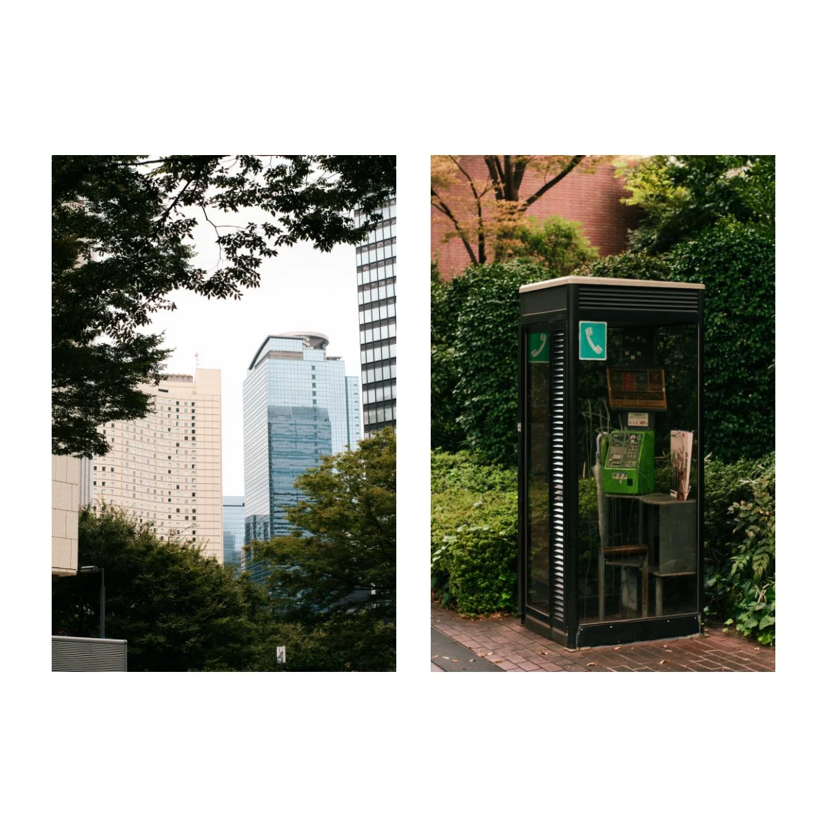 The Legendary Vintage Lens I Found In Tokyo - The Asahi Super